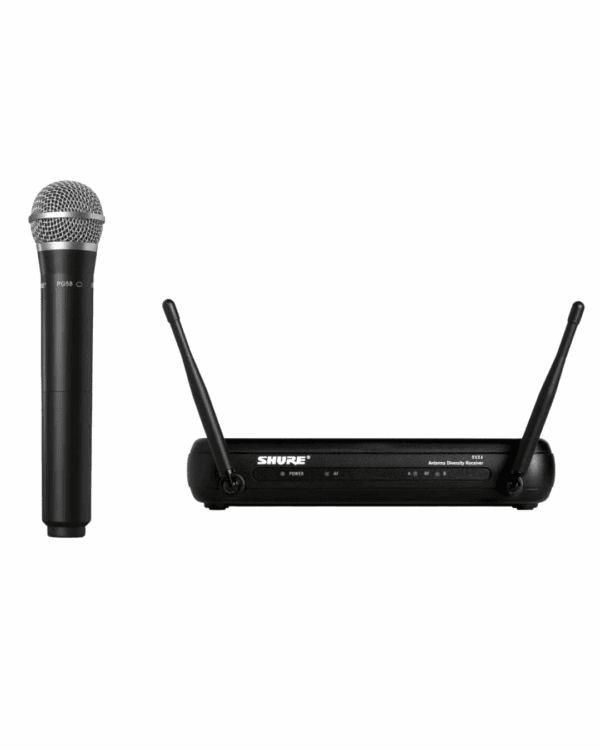 SHURE SVX24/PG58