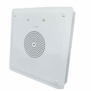 ds-Q10