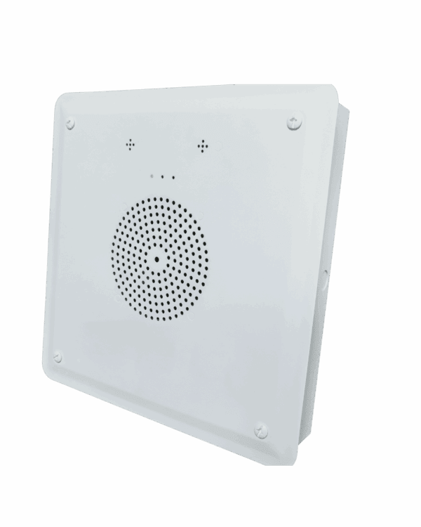 ds-Q10