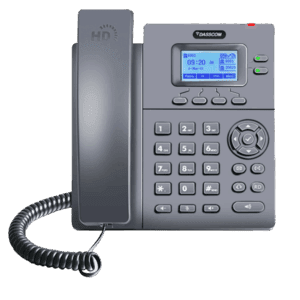 DXP-6100HP ENTRY LEVEL IP PHONE